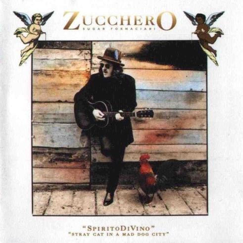Zucchero